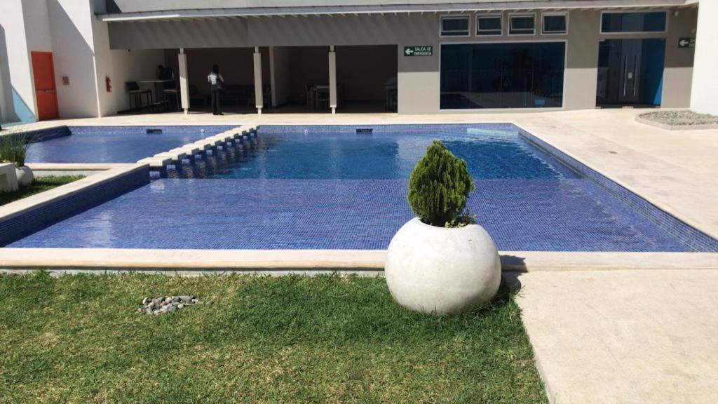 El Mejor Apartamento En Excelente Ubicacion. سان هوزيه المظهر الخارجي الصورة